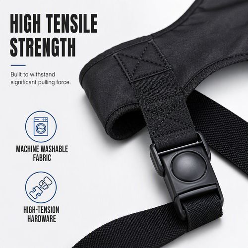 Wheelchair Safety Seatbelt