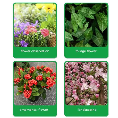 Universal Schnellblühendes Pulver Für Blumenpflanzen