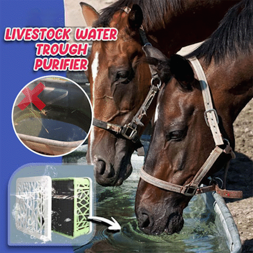 BUY 1 GET 2🔥 Livestock Water Trough Purifier - Buy 2 Free Shipping