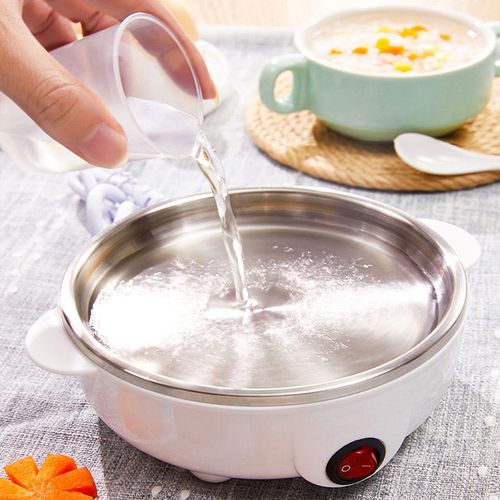 Multi-function Mini Egg Steamer