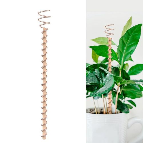 BUY 1 GET 3🔥One Thread - Electro Culture Copper Antenna