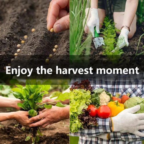 Vegetable Seed Vault Kit
