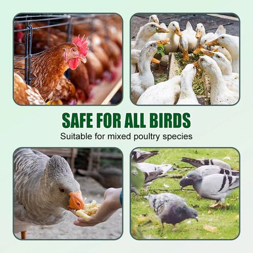 Anti-pecking Poultry Supplement