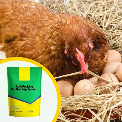 Anti-pecking Poultry Supplement