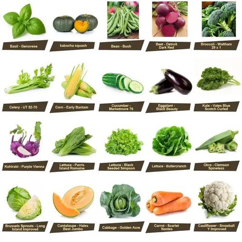 Vegetable Seed Vault Kit