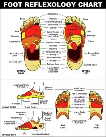 Therapy Slippers