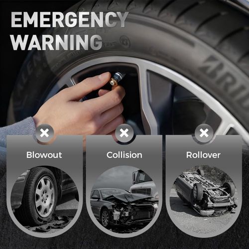 Tire Pressure Monitor Valve