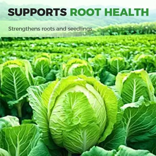 Professional-Grade Cabbage Nutrient