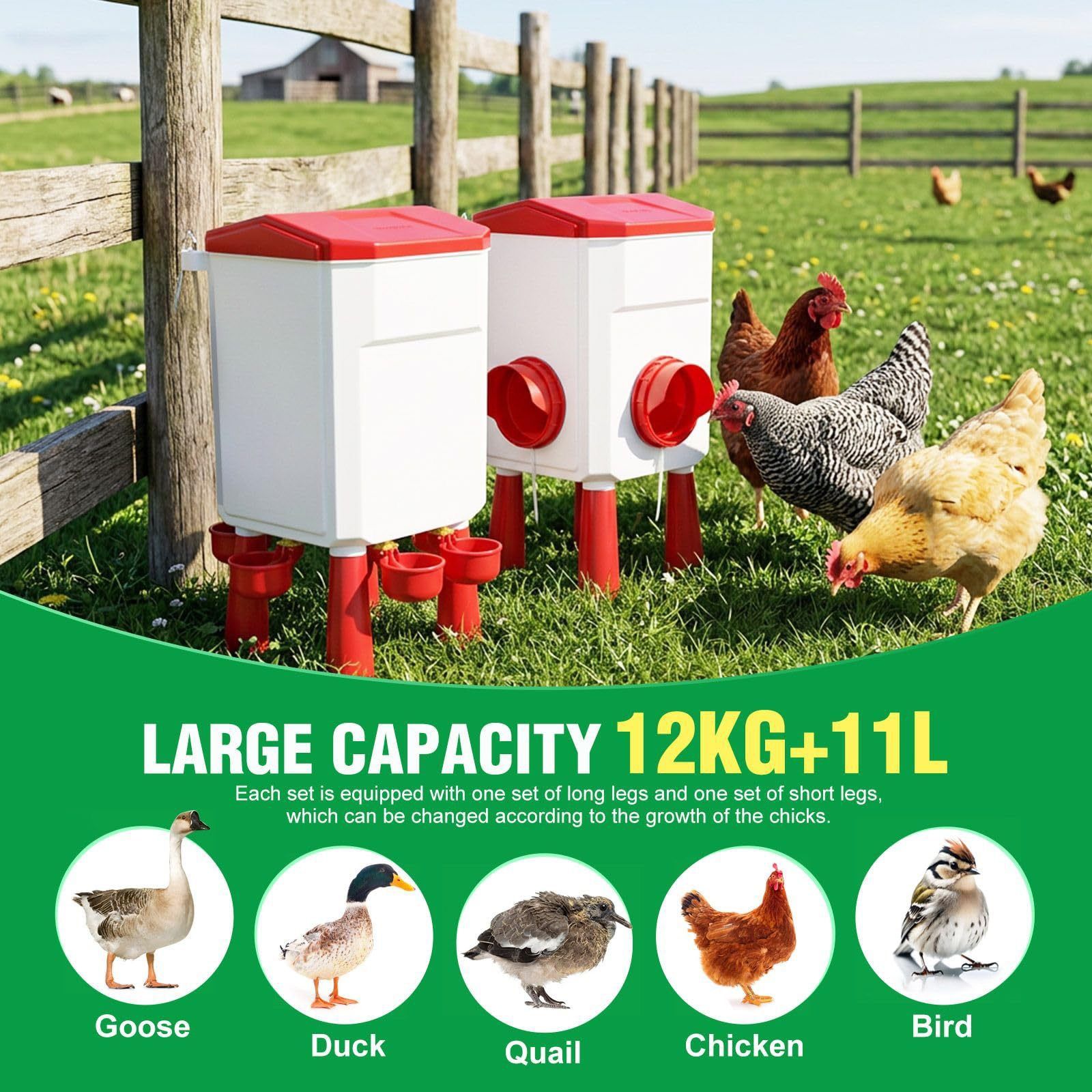 📢📢40% OFF !! ⏰Gravity Poultry Waterer and Feeder