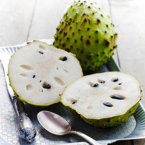 Organic Soursop (Graviola) Seeds