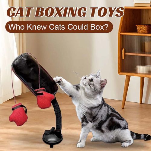 Cat Boxing Toys