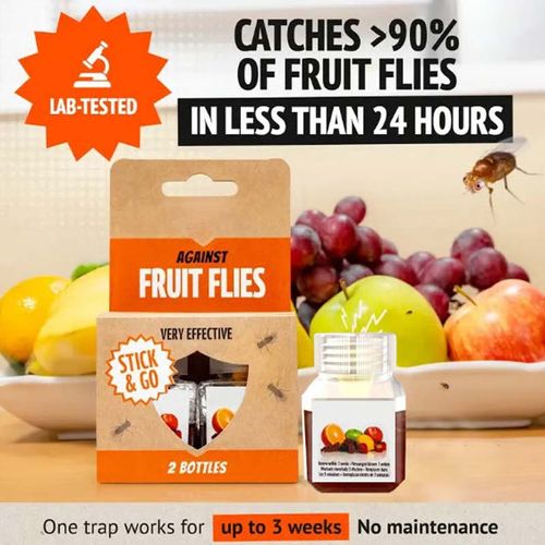 Fruit Fly Trap - Environmentally Responsible Fruit Fly Kille