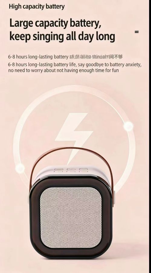 100% Original JYX D17 Mini Karaoke Bluetooth Speaker Powerful Bass Premium Microphone Set Portable KTV System