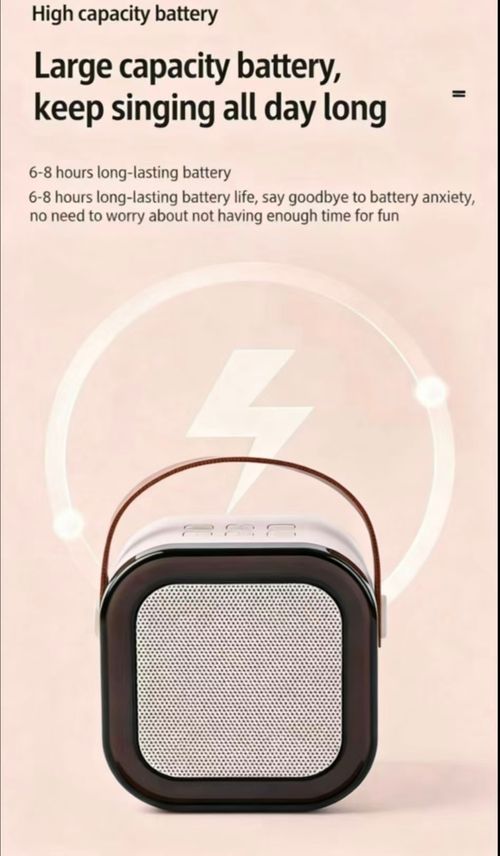 100% Original JYX D17 Mini Karaoke Bluetooth Speaker Powerful Bass Premium Microphone Set Portable KTV System