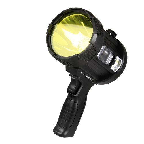 Holding a torch