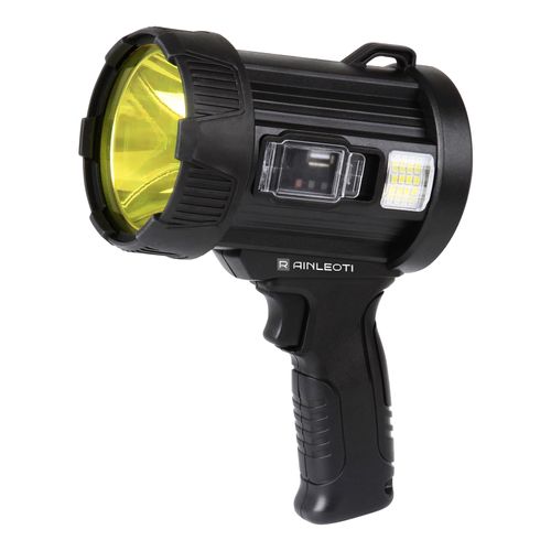 Holding a torch