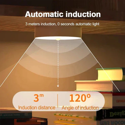 USB Chargeable Motion Sensor Night Light