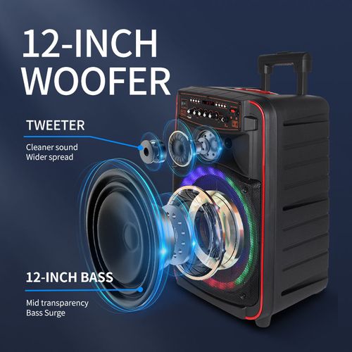 12-inch square trolley speaker