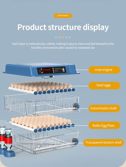 Fully automatic egg incubator