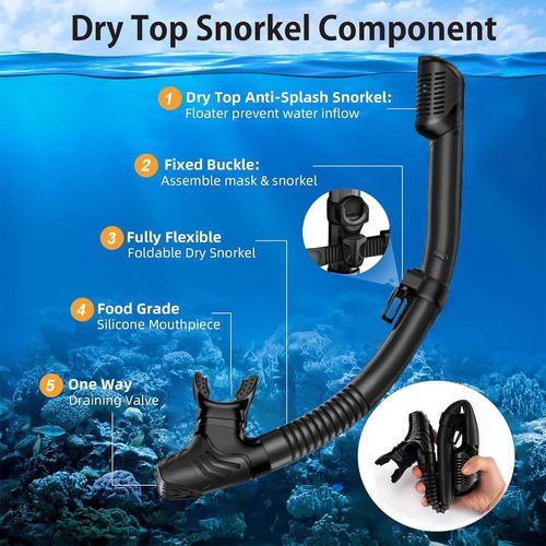 Snorkeling Gear for Adults