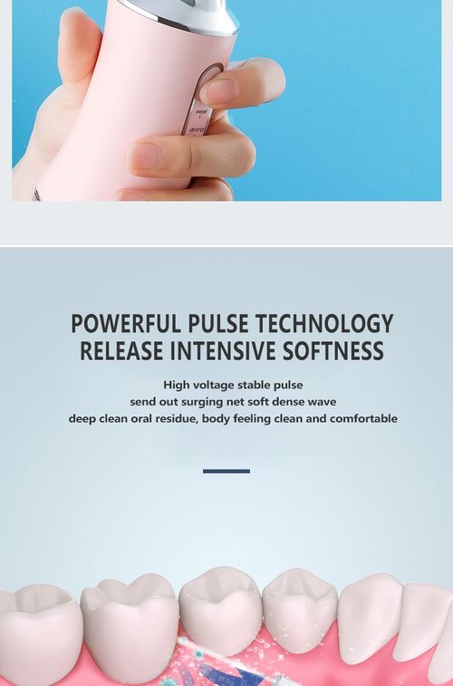 Portable electric stone removal and dental cleaning device