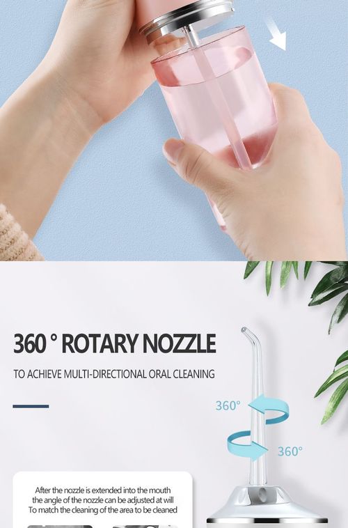 Portable electric stone removal and dental cleaning device