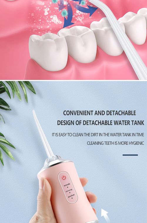Portable electric stone removal and dental cleaning device
