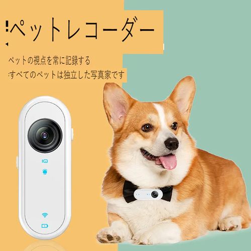 クロスボ一ダ-新作ペット用レコ-ダ一親指力メラHDアウトドアボ-タプルライディングスボ-ツ力メラ学生用力メラ