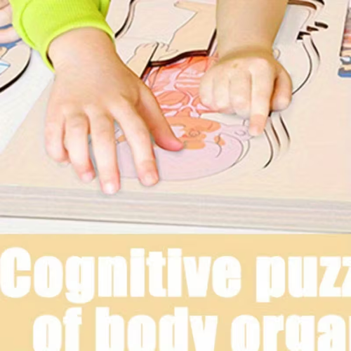 Science Enlightenment: Puzzle of Human Organ Structure, Anatomy, Skeleton, Cognitive Education, Body Organs, Puzzle Toy