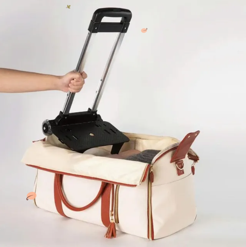 🎁 Hot Sale 49% Off🔥 ✨Foldable Travel Bag 2.0