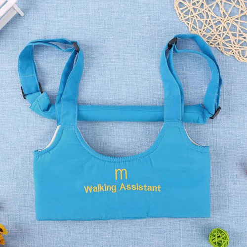 🔥Infant Safety Carrier