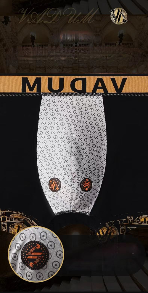 VADUM Luxury Magnetic Breathable Men's Briefs
