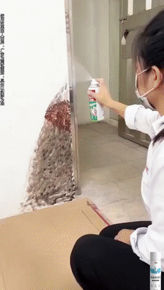 paint self-painting wall self-spraying latex paint wall repair