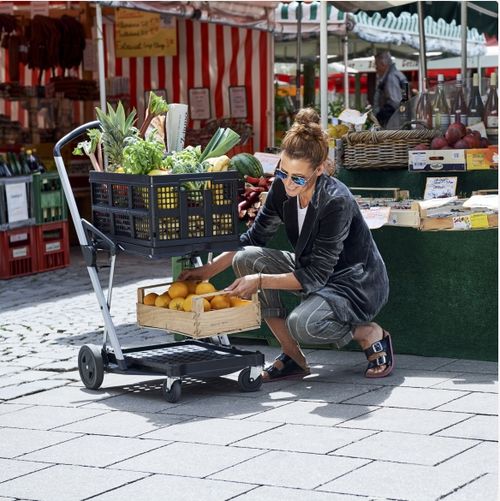 Multi use Functional Collapsible Carts | Mobile Folding Trolley | Shopping Cart with Storage Crate