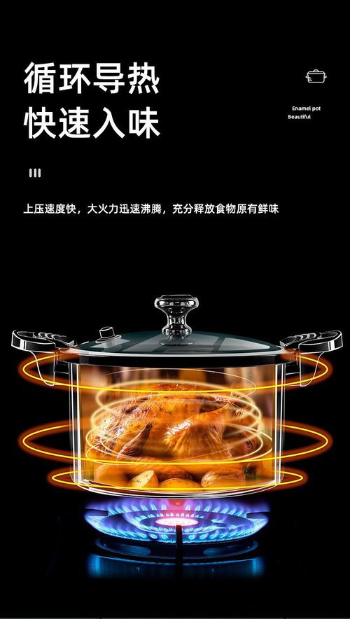 Multifunctional non-stick pressure cooker
