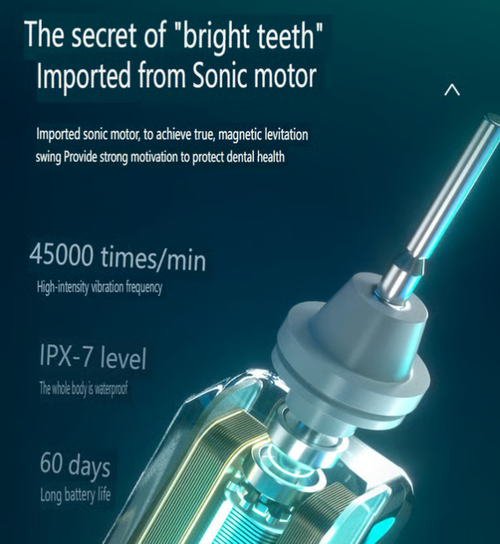 2025 Trend USB  Charging Rechargeable Whitening Smart Sonic Automatic Electric Toothbrush .Ultrasonic electric toothbrush with stand and 8 brush heads