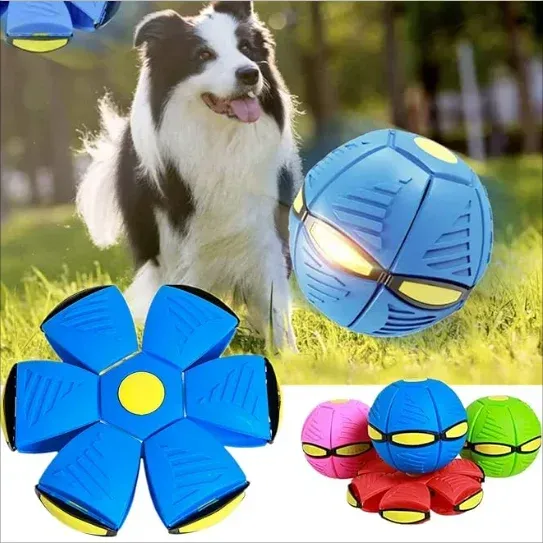 💥Puppy disc ball💞