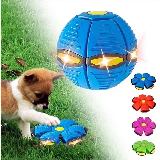 💥Puppy disc ball💞