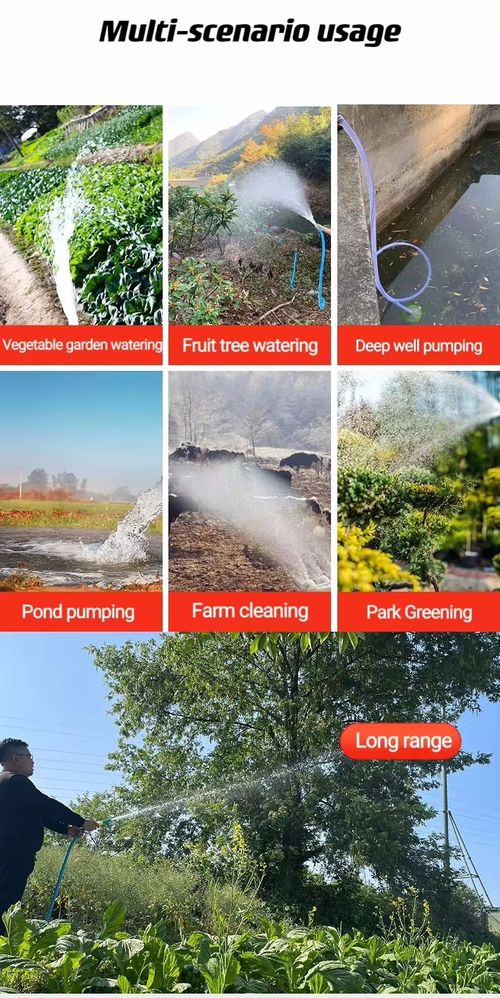 Multifunctional lithium battery household irrigation mobile pump electric automatic sprayer