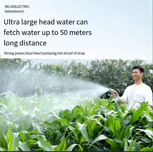 Multifunctional lithium battery household irrigation mobile pump electric automatic sprayer