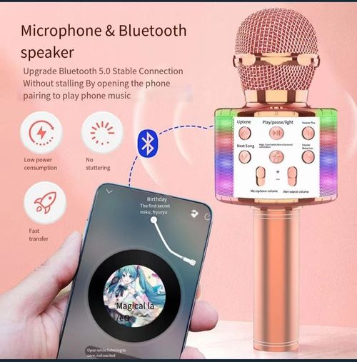 🎄🎤 Sing Anywhere: The Ultimate Karaoke Mic!🚀Limited time 50% off 🚀Ghana Cash on Delivery