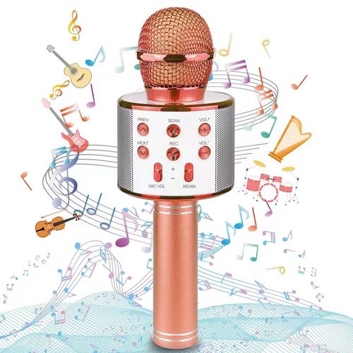 🎄🎤 Sing Anywhere: The Ultimate Karaoke Mic!🚀Limited time 50% off 🚀Ghana Cash on Delivery