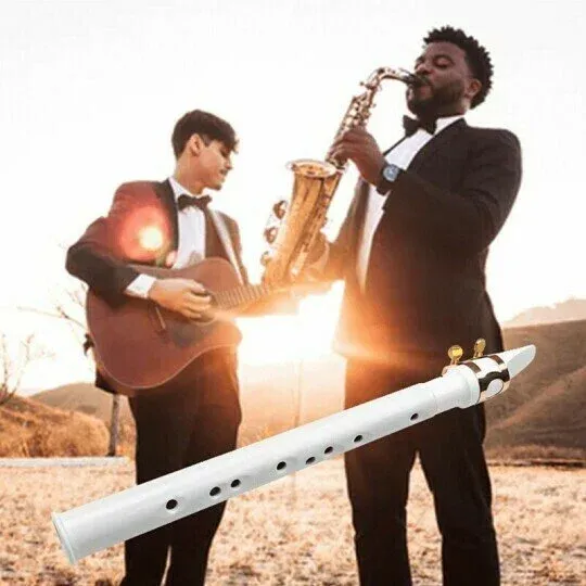 ✨Key Of C Two Octave Range Pocket Travel Saxphone🚀Limited time 50% off 🚀Ghana Cash on Delivery