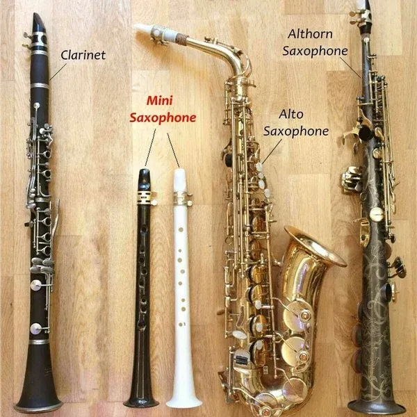 ✨Key Of C Two Octave Range Pocket Travel Saxphone🚀Limited time 50% off 🚀Ghana Cash on Delivery