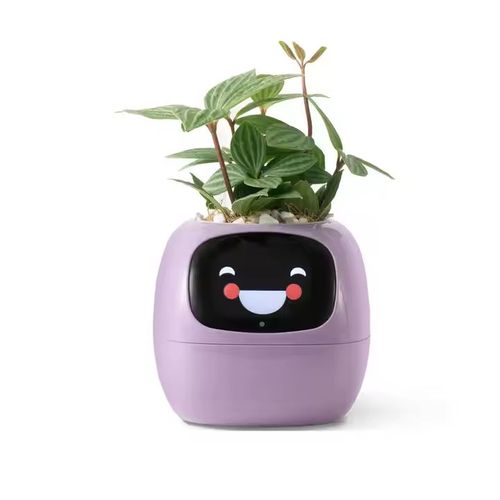 Plantadores inteligentes com inteligência artificial, monitores de tempo-temperatura e muitas animações expressivas