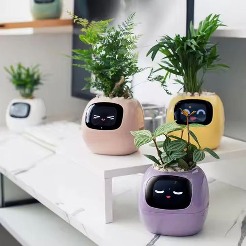 Plantadores inteligentes com inteligência artificial, monitores de tempo-temperatura e muitas animações expressivas