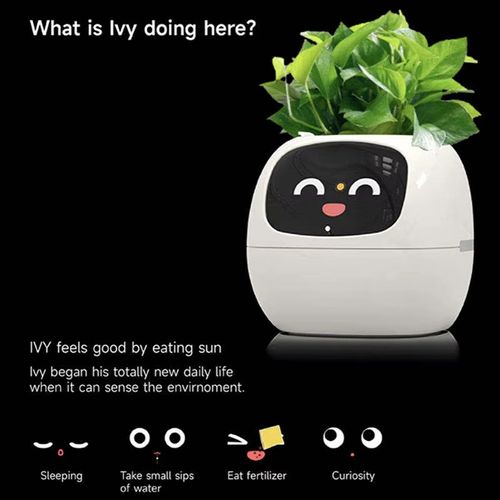 Plantadores inteligentes com inteligência artificial, monitores de tempo-temperatura e muitas animações expressivas
