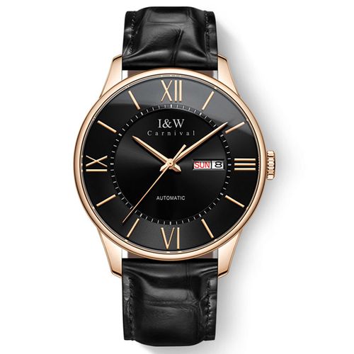 I&W High-end Men's Sapphire Waterproof Mechanical Watch
