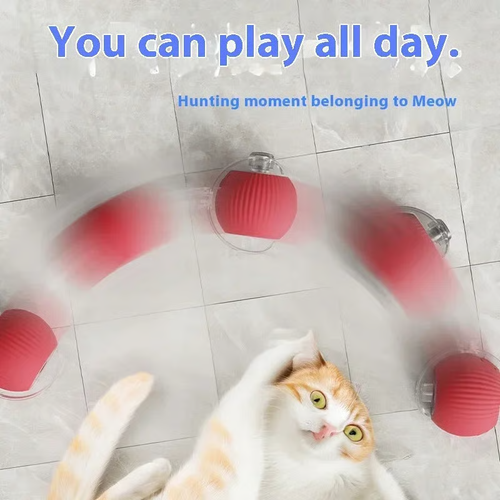 🔥 Buy 1 Get 1 Free🔥 Interactive Toys Ball Automatic Pet Exercise Toys