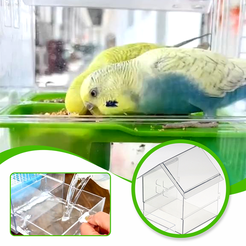 🔥Pull-Out External Parrot Feeder